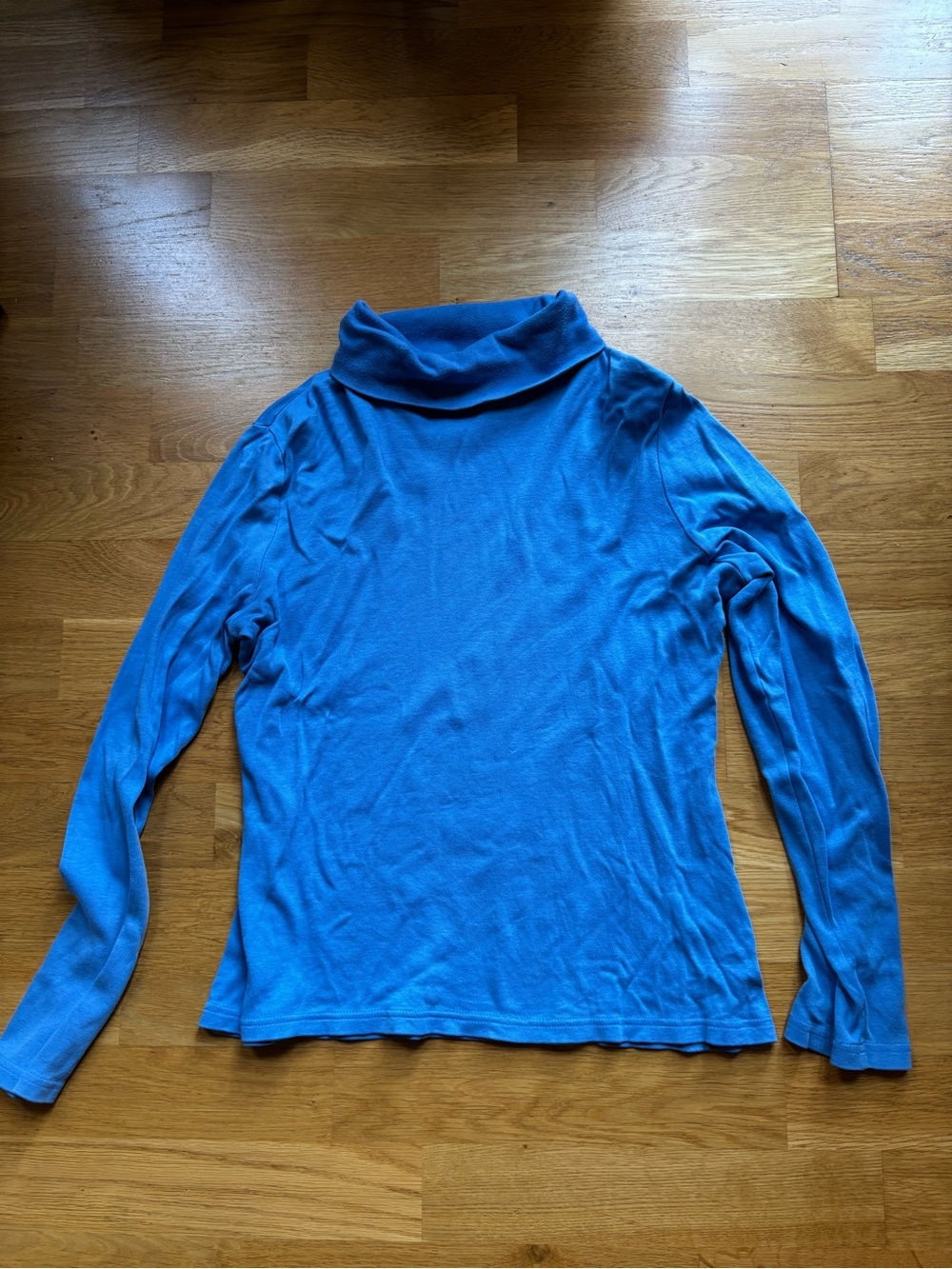Charter Club Blue Long Sleeve Turtleneck Top